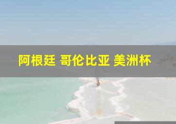 阿根廷 哥伦比亚 美洲杯